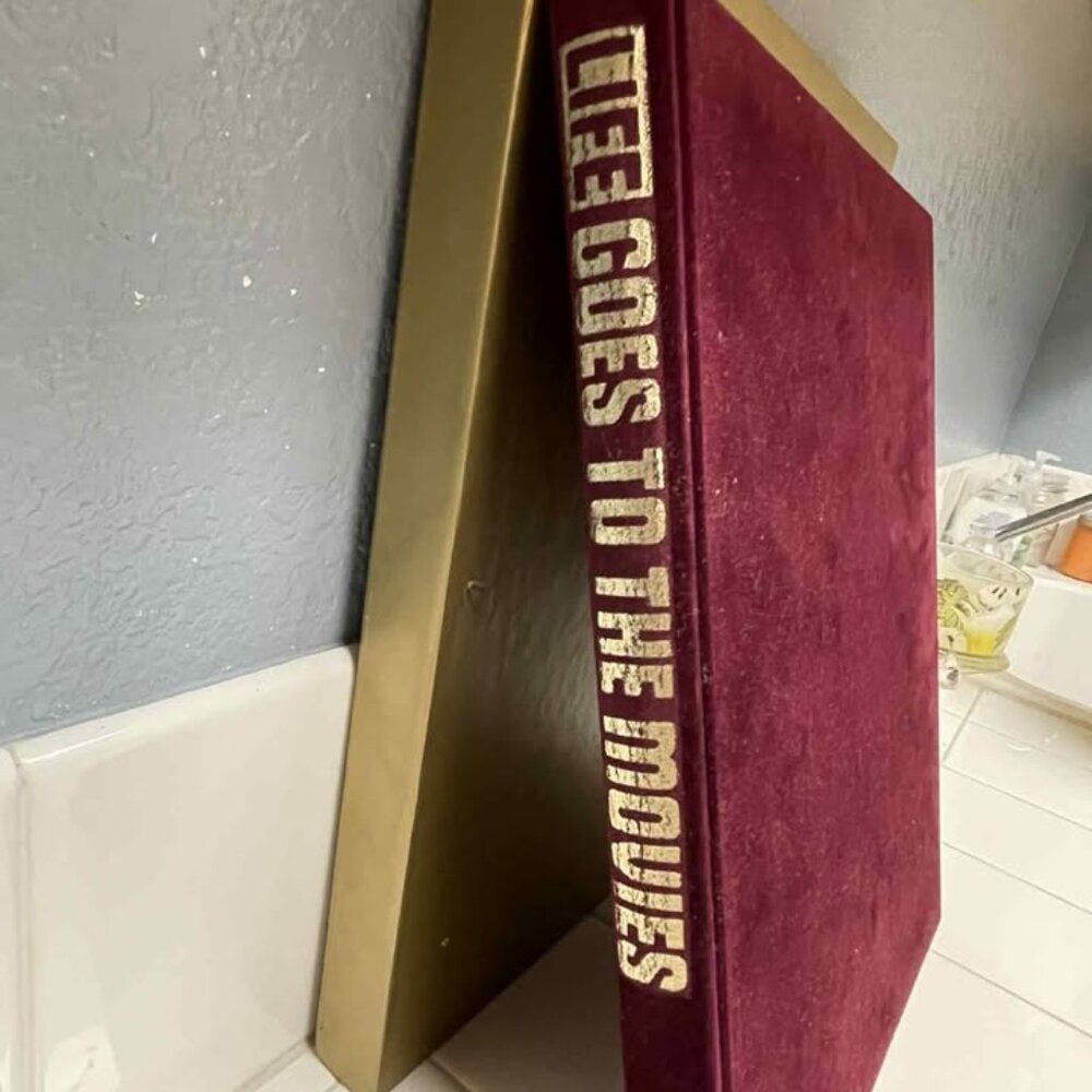 Life goes to the movies book